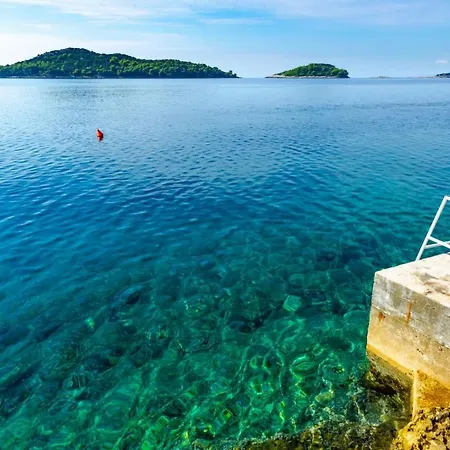 شقة In Prizba With Sea View, Balcony, Air Conditioning, Wifi 5080-1 Blato (Korcula)